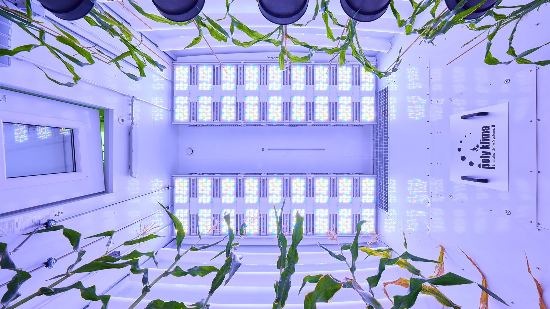 Adjustable parameters for lighting, humidity and temperature allow special environmental conditions to be simulated, which can be used to research the growth of plants.